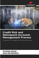 Credit Risk and Delinquent Accounts Management Process 6630342046 Book Cover
