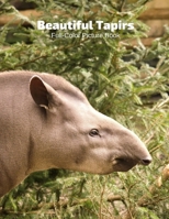 Beautiful Tapirs Full-Color Picture Book: Mammals Photography - Nature Animals B08R6QYB77 Book Cover