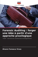 Forensic Auditing : forger une idée à partir d'une approche praxilogique: Thèse - Doctorat en recherche et enseignement 6206205371 Book Cover