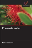 Produkcja protei (Polish Edition) 6209924433 Book Cover