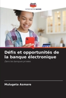 Défis et opportunités de la banque électronique (French Edition) 6208571375 Book Cover