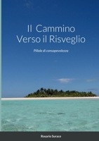 Il Cammino Verso il Risveglio 1716331269 Book Cover