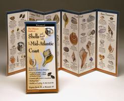 Shells of the Mid-Atlantic Coast 1893770184 Book Cover