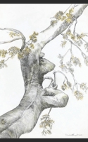 Admiring April B0B2194PWF Book Cover