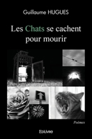 Les Chats se cachent pour mourir (French Edition) 2414587717 Book Cover