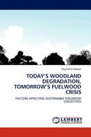 Today’s Woodland Degradation, Tomorrow’s Fuelwood Crisis: Factors Affecting Sustainable Fuelwood Collection 3844398147 Book Cover
