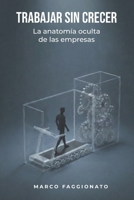 TRABAJAR SIN CRECER: La anatomía oculta de las empresas (Spanish Edition) B0GJ3GLZ1X Book Cover