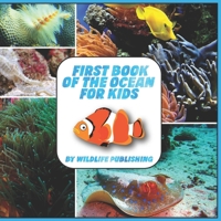 First Book of the Ocean for Kids : Ocean Animals Activity Book 1095183230 Book Cover