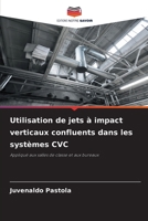 Utilisation de jets à impact verticaux confluents dans les systèmes CVC 6207287053 Book Cover