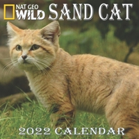 SAND CAT CALENDAR 2022: SAND CAT calendar 2022 "8.5x8.5" Inch 16 Months JAN 2022 TO APR 2023 finished and Glossy B093SB4CJL Book Cover