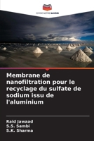 Membrane de nanofiltration pour le recyclage du sulfate de sodium issu de l'aluminium (French Edition) 6209669166 Book Cover