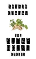 The Sugar House Papers 1543268129 Book Cover
