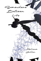 Somewhere Between Us (So, Maybe She Never Was) 1997573024 Book Cover