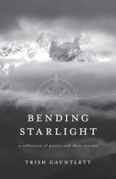 Bending Starlight: a collection of poetry and short stories 1038363764 Book Cover