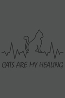 Cats Are My Healing: Katze Katzenmama Katzenliebhaber Dina5 Kariert Notizbuch Tagebuch Planer Notizblock Kladde Journal Strazze Malheft 1675080291 Book Cover