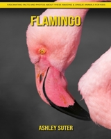 Flamingo: Fascinating Facts and Photos about These Amazing & Unique Animals for Kids B092PG7TSL Book Cover