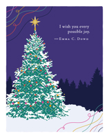 Positively Green Greeting Cards: Holiday - I Wish You Every Possible Joy (Pack of 6) B0G5KBRTHL Book Cover