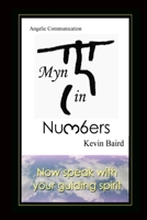 Myn in Numbers 0578017407 Book Cover
