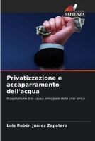 Privatizzazione e accaparramento dell'acqua (Italian Edition) 6207917766 Book Cover
