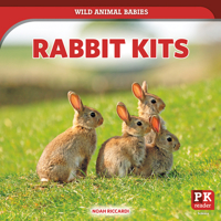 Rabbit Kits 1538295512 Book Cover