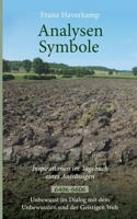 Analysen - Symbole (6406-6606): Inspirationen im Tagebuch eines Aufsässigen (German Edition) 3758398339 Book Cover