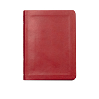LSB New Testament with Psalms and Proverbs, Burgundy Faux Leather: Legacy Standard Bible 1636641997 Book Cover