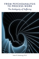 From Psychoanalysis to Process Work: The Ambiguity of Suffering 0645111724 Book Cover
