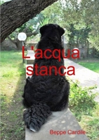 L'acqua stanca 1445789329 Book Cover