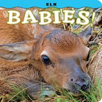 Elk Babies! 1560376864 Book Cover