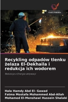 Recykling odpadów tlenku zelaza El-Dekhaila i redukcja ich wodorem (Polish Edition) 6208537908 Book Cover