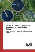 Studio di fattibilit� economica su impianto di pirolisi dei fanghi. 6200837236 Book Cover