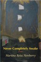 Never Completely Awake 099750515X Book Cover