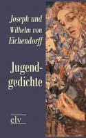 Jugendgedichte 3956107276 Book Cover