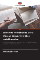 Solutions numériques de la chaleur convective libre instationnaire: et effets de transfert de masse sur le cône vertical à l'aide d'un modèle de simulation de réseau 6205967898 Book Cover