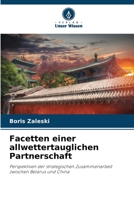 Facetten einer allwettertauglichen Partnerschaft (German Edition) 6207815076 Book Cover