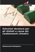 Soluzioni durature per gli sfollati a causa dei cambiamenti climatici (Italian Edition) 6209386520 Book Cover