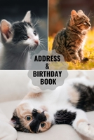 Address & Birthday Book: Large Print - Cat Cover - Address Book for Names, Addresses, Phone Numbers, E-mails and Birthdays 1658133900 Book Cover