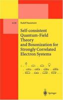 Self-consistent Quantum-Field Theory and Bosonization for Strongly Correlated Electron Systems (Lecture Notes in Physics Monographs) 3642085091 Book Cover
