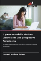 Il panorama delle start-up viennesi da una prospettiva femminista (Italian Edition) 6208828775 Book Cover
