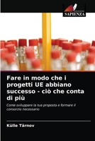 Fare in modo che i progetti UE abbiano successo - ciò che conta di più: Come sviluppare la tua proposta e formare il consorzio necessario 6203348988 Book Cover