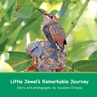 Little Jewel's Remarkable Journey 1734226706 Book Cover