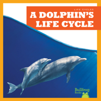A Dolphin's Life Cycle 1636908314 Book Cover