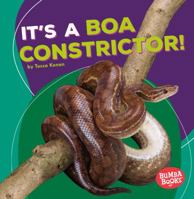 It's a Boa Constrictor! 1512429317 Book Cover