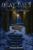 Gray Days and Ice Blue Lies B0CCCMRJQ1 Book Cover