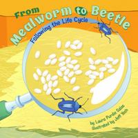 From Mealworm to Beetle: Following the Life Cycle (Amazing Science) 1404849254 Book Cover