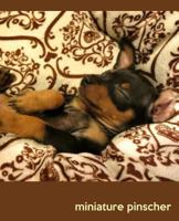 Miniature Pinscher: A Gift Journal for People who Love Dogs: Miniature Pinscher Puppy Edition 1494453274 Book Cover