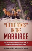 Little Foxes in the Marriage: How to Deal with Pertinent Issues That Can Wreck Your Marriage Now and Forever 1910894311 Book Cover