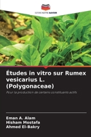 Études in vitro sur Rumex vesicarius L. (Polygonaceae) 6206420051 Book Cover