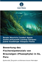 Bewertung des Fischereipotenzials von Braunalgen (Phaeophyta) in Ilo, Peru (German Edition) 6206913783 Book Cover