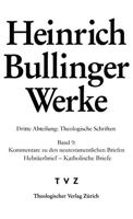 Kommentare Zu Den Neutestamentlichen Briefen: Hebraerbrief - Katholische Briefe (Heinrich Bullinger Werke) 3290181987 Book Cover